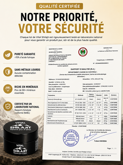 Complément alimentaire (vital shilajit)