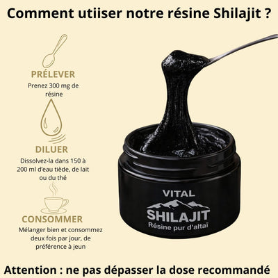 Complément alimentaire (vital shilajit)