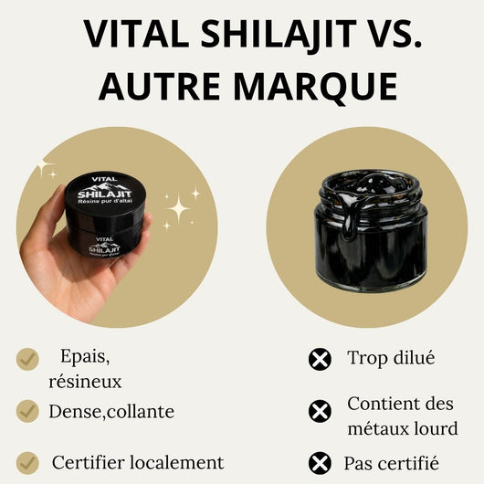 Complément alimentaire (vital shilajit)