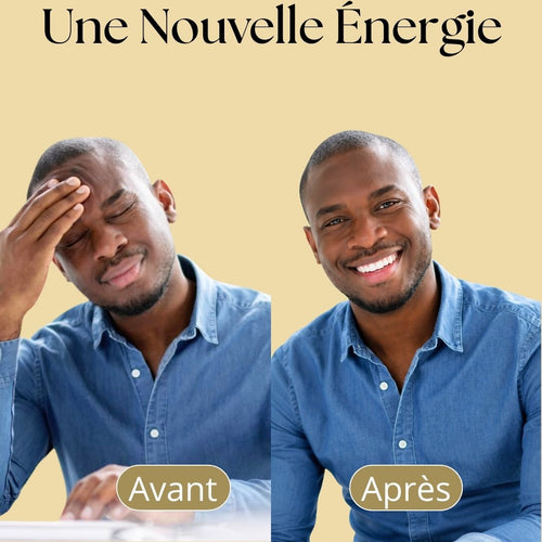 Complément alimentaire (vital shilajit)