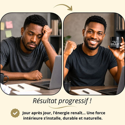 Complément alimentaire (vital shilajit)