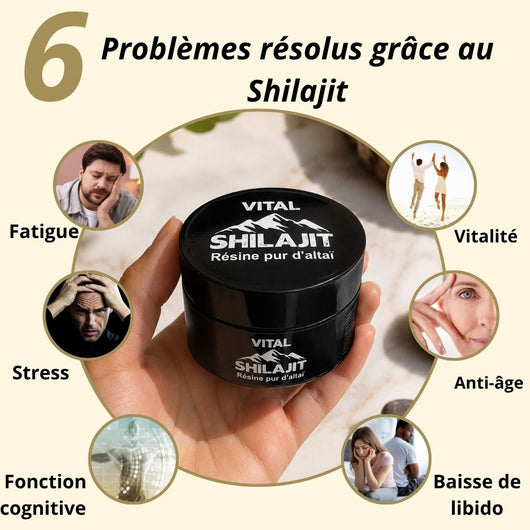 Complément alimentaire (vital shilajit)