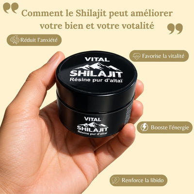 Complément alimentaire (vital shilajit)