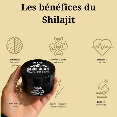 Complément alimentaire (vital shilajit)